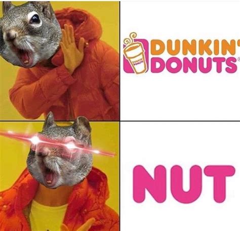 nut memes|Nut Memes 